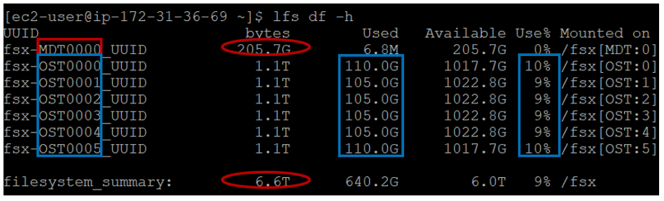 그림 4. Amazon FSx for Lustre의 실제 스토리지 레이아웃